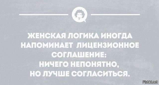 Из солянки