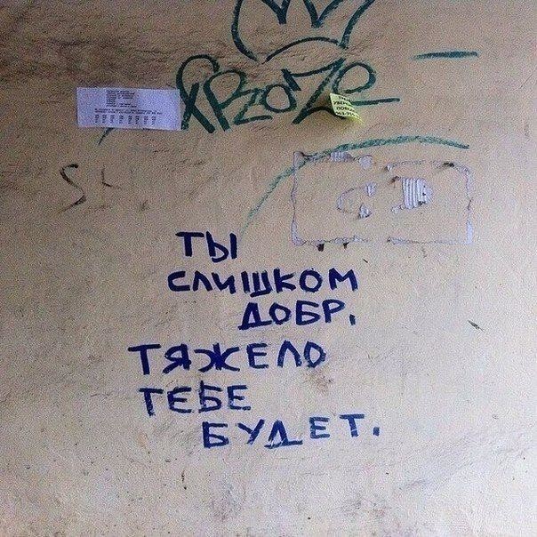 Еноты и не только.. Фото-приколы!