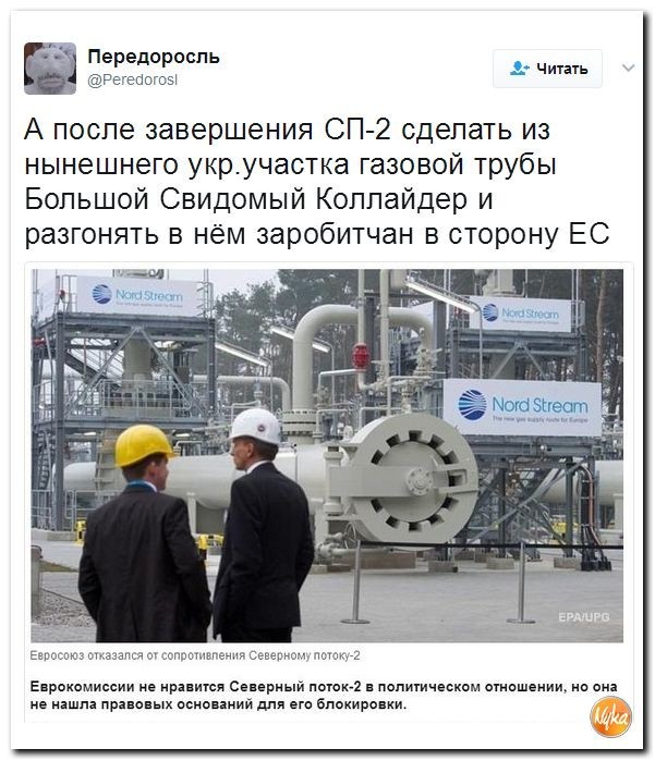 Политические коментарии соцсетей - 96