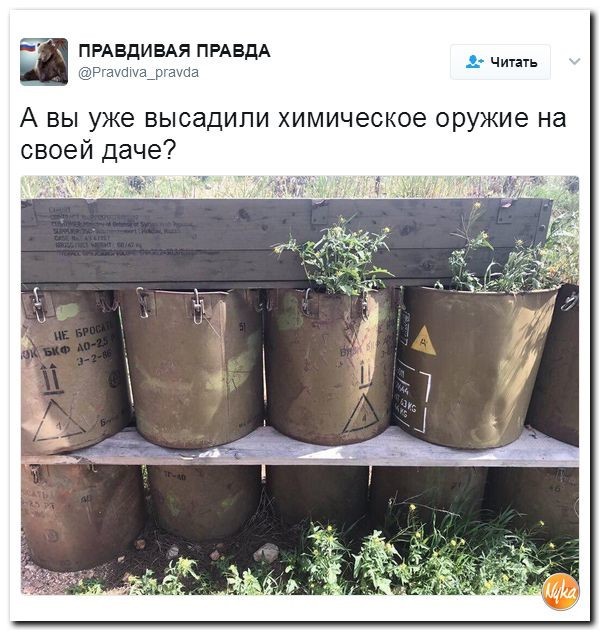 Политические коментарии соцсетей - 96