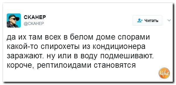 Политические коментарии соцсетей - 97