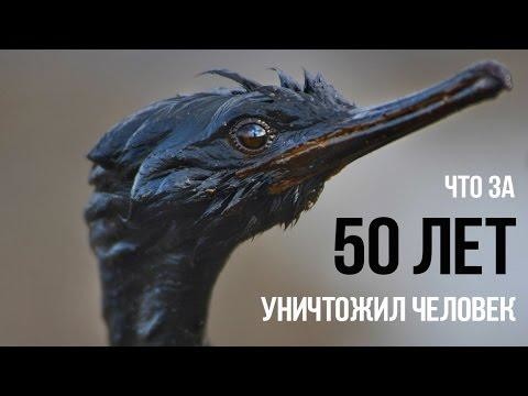 Что за 50 лет уничтожил человек 