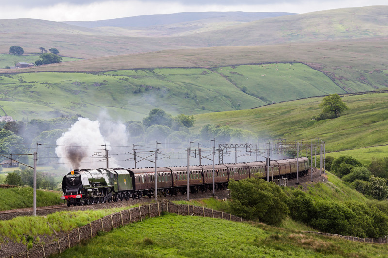 Шотландия: Belmond Royal Scotsman   