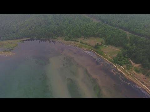 Байкал превращается в болото