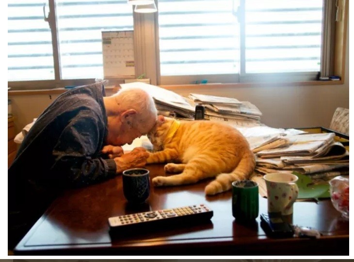 Фотограф вернула вкус к жизни своему 94-летнему дедушке, подарив ему котёнка