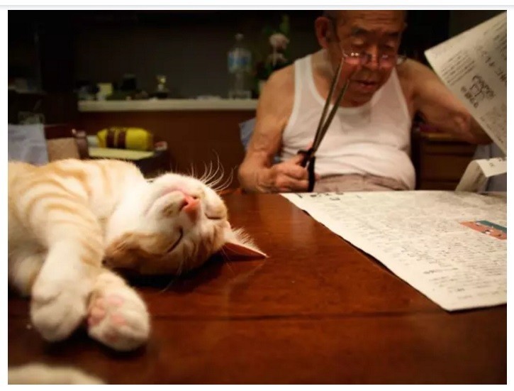 Фотограф вернула вкус к жизни своему 94-летнему дедушке, подарив ему котёнка