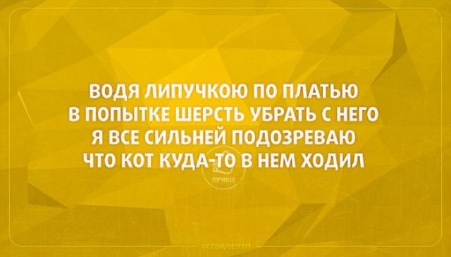 То самое чувство, когда хочешь поделиться настроением