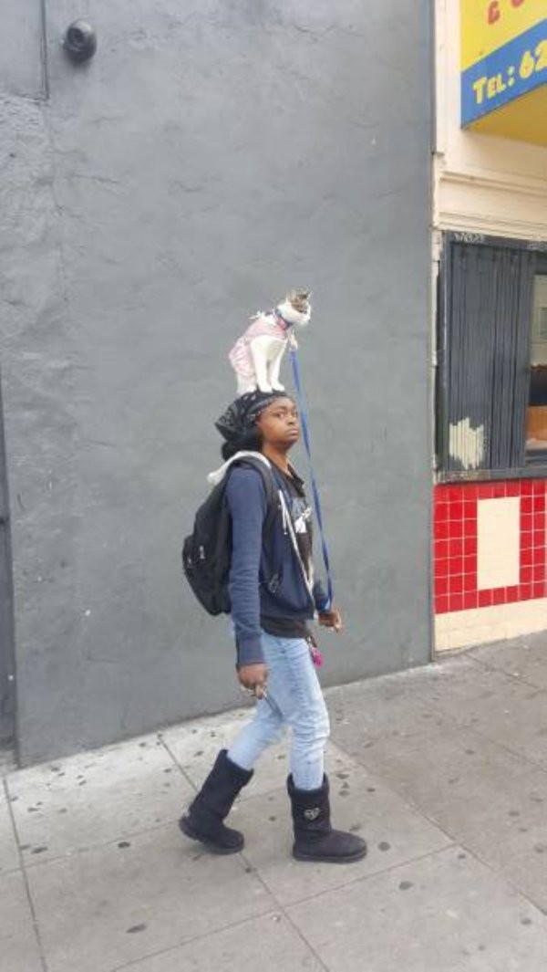Девушка с кошкой на выгуле 