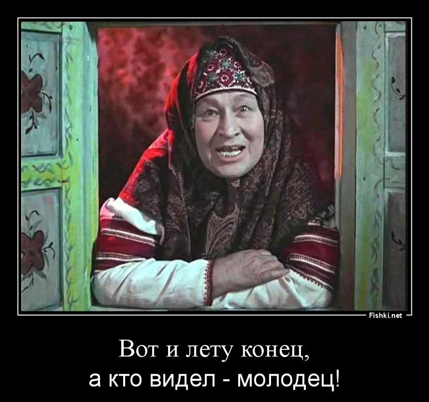 Из солянки