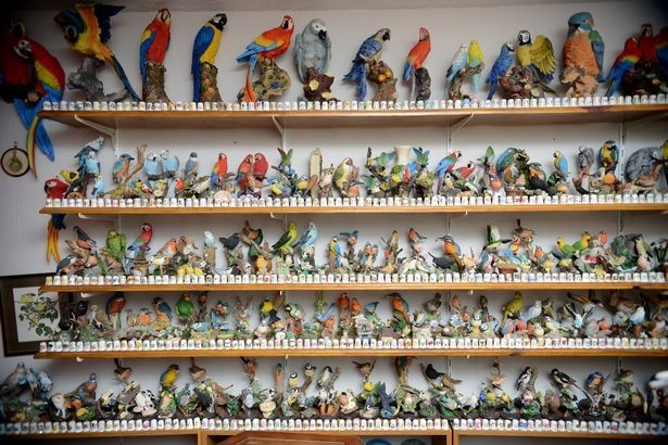 Любитель птиц собрал необычную коллекцию, занявшую целый дом, три сарая и гараж