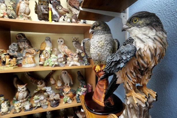 Любитель птиц собрал необычную коллекцию, занявшую целый дом, три сарая и гараж
