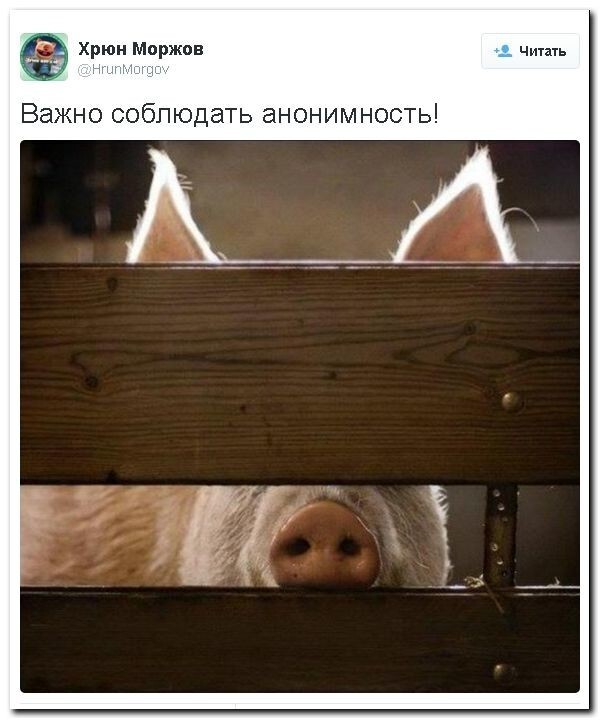 Политические коментарии соцсетей - 103