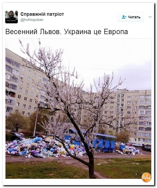 Политические коментарии соцсетей - 103