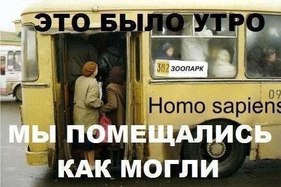 Смешные картинки с надписями