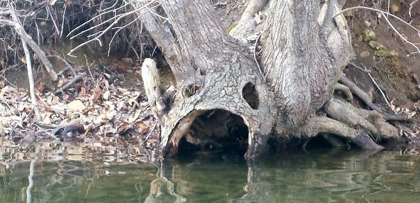 Воды! Мне нужно бо-ольше воды!