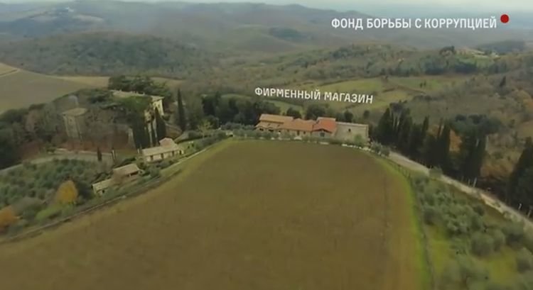 Тот самый виноградник Медведева в Тоскане. Видеорепортаж изнутри