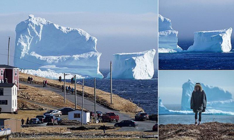 К берегам Канады приплыл огромный айсберг!