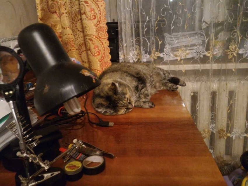 кошка с лампой