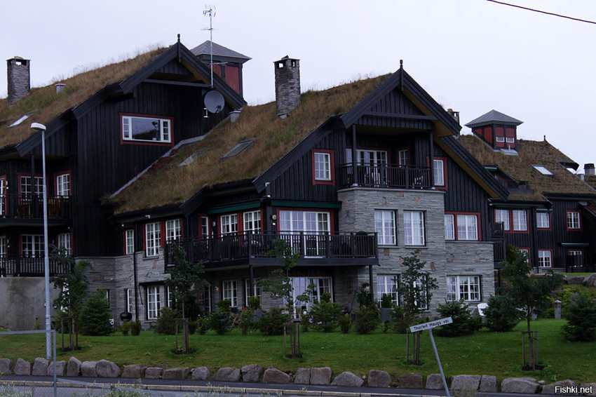 Зеленые крыши в Норвегии