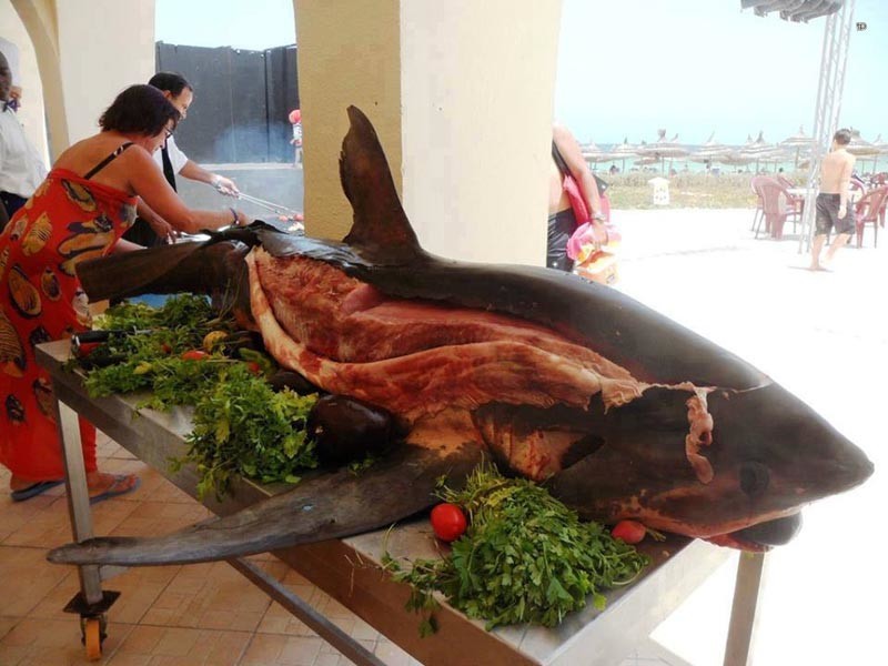 2. Вместо форели и других местных рыб подается акулье мясо