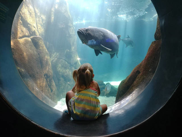 Девочка в океанариуме 