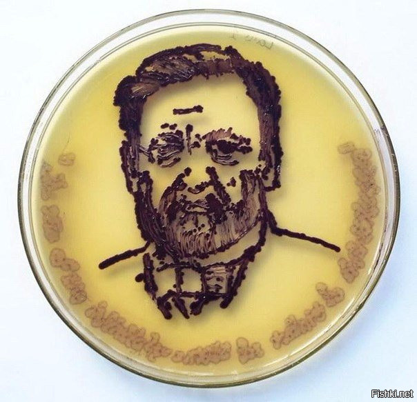 Микробиологи из разных стран представили миниатюрные работы с бактериями, сде...