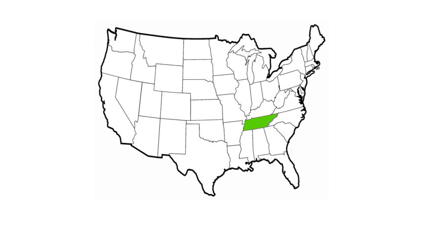 Какой штат выделен зелёным цветом?
