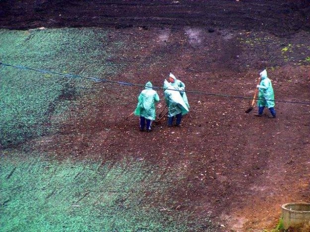 2. К приезду Путина в Саранск готовились на славу: красили землю в зеленый цвет,  закатывали ямы в асфальте по маршруту, все делали в срочном порядке, даже дома разрисовывали