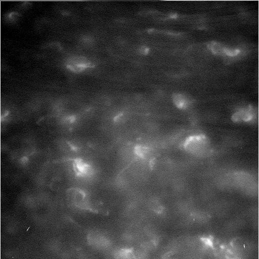 Впервые в истории: получены уникальные снимки колец Сатурна
