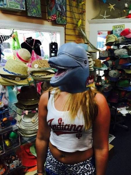 Дельфин в магазине 