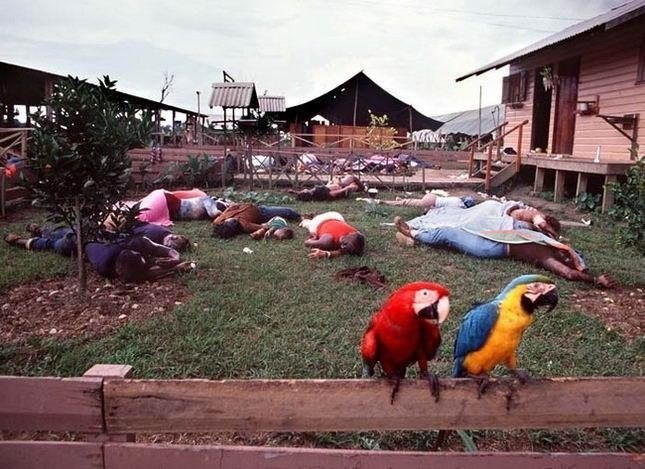 Два попугая на заборе в общине в Джонстауне, где 900 членов культа покончили с собой в 1978 году.