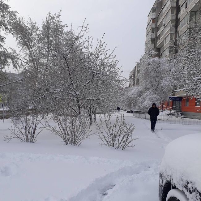 Майские снегопады в Сибири