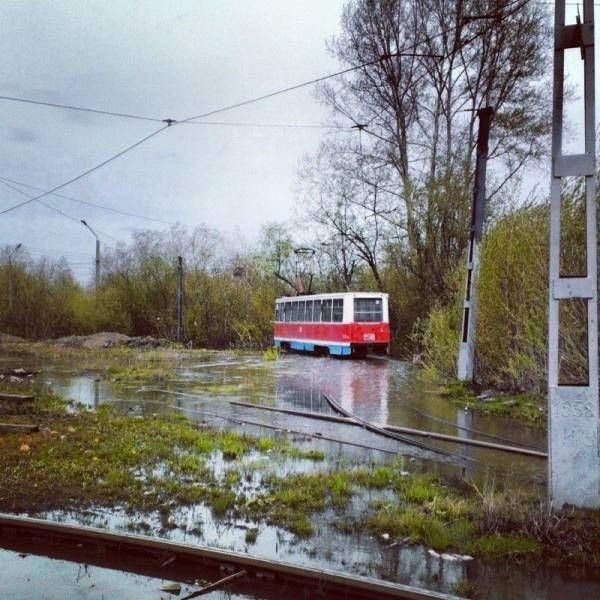 Прикольные картинки