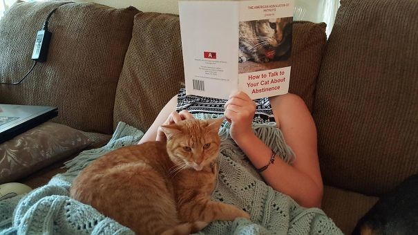 Книга называется "Как поговорить с котом о половом воздержании". Муж застал за одним из разговоров.