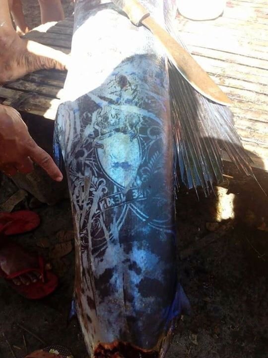 На Филиппинах поймана рыбина в невероятных узорах, похожих на татуировки