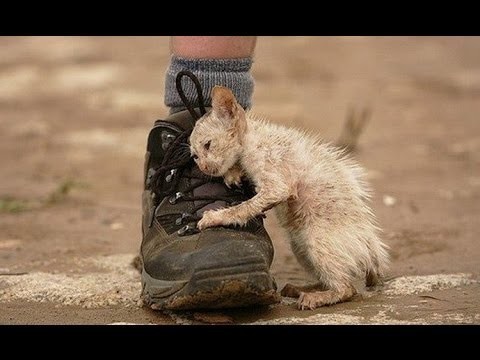 Добрые поступки, которые запомнились всему миру 