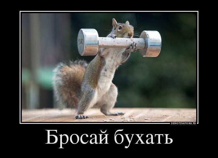 Белочка Порошенко!