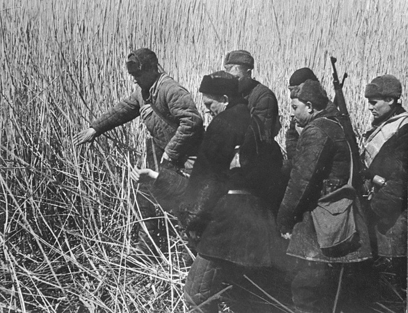 Советские партизаны несут раненого товарища среди камыша. 24 сентября 1942 года.