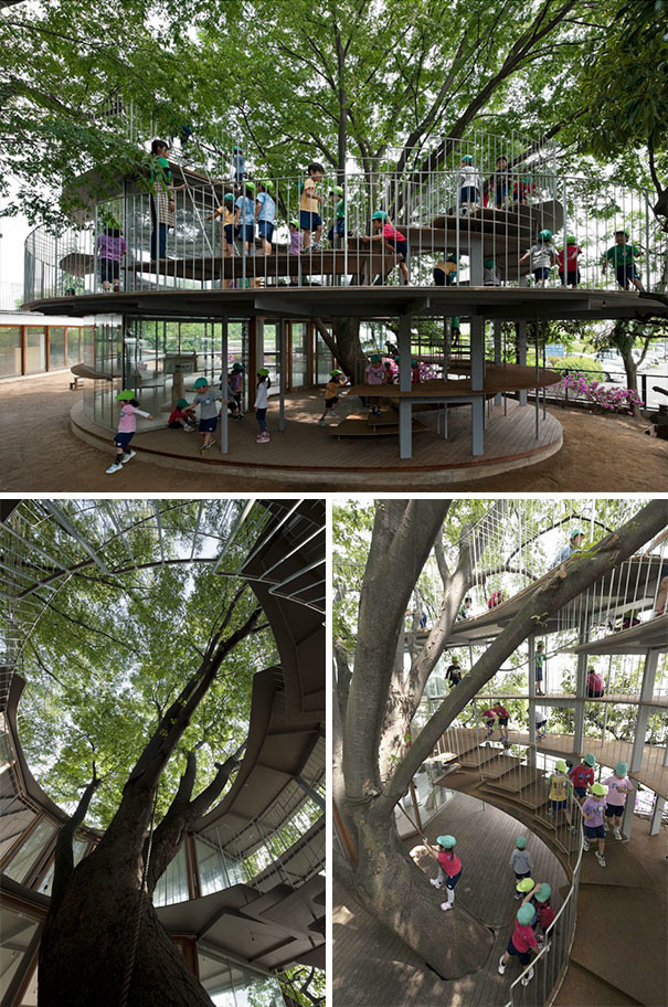 Детский сад, построенный вокруг дерева, Япония