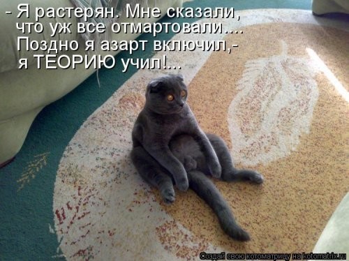 Котоматрица