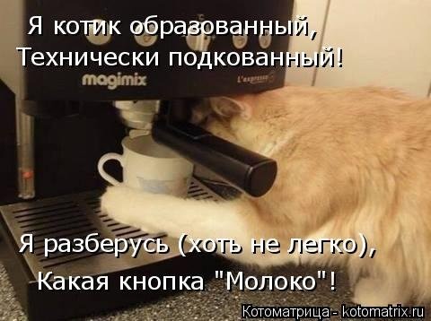 Котоматрица