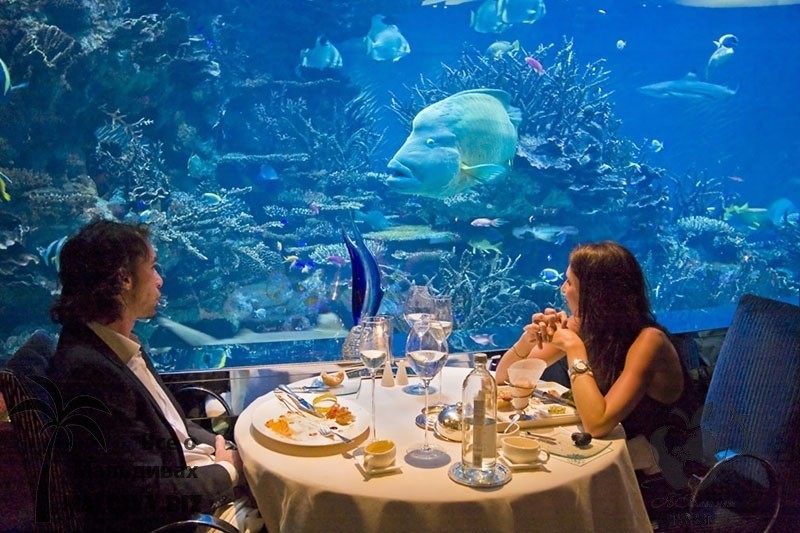 8. Подводный ресторан на Мальдивах