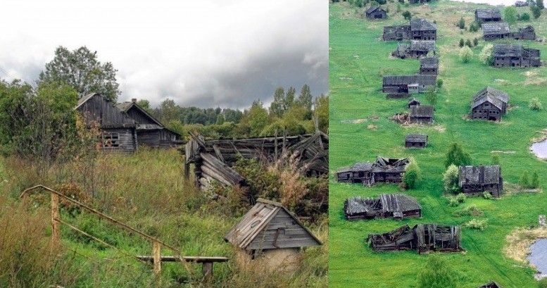 Волки на улицах деревень