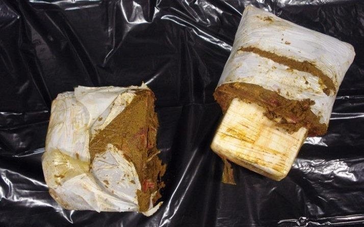 Кокаин в замороженном мясе обнаружили у человека, прибывшего в США из Тринидада 