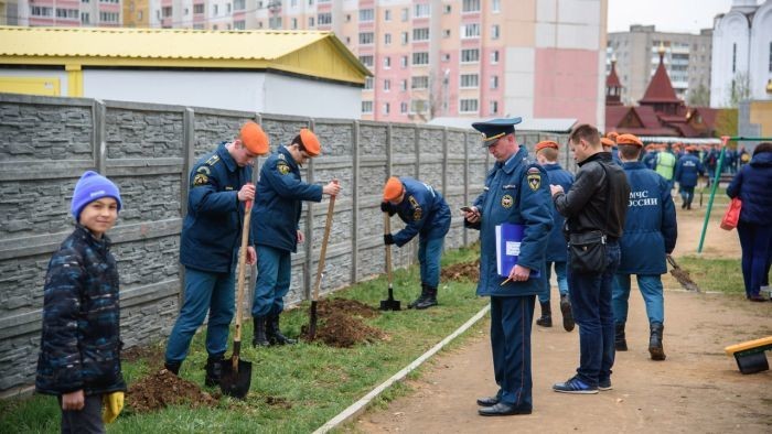 В Иваново украли саженцы «Аллеи славы», высаженные к 9 мая