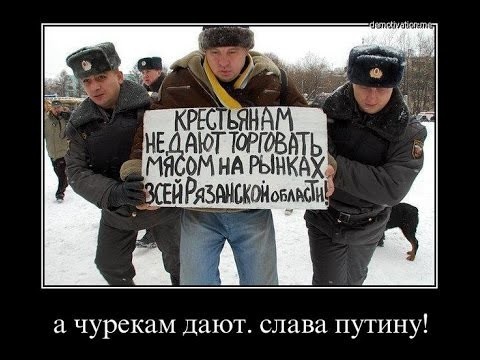 Веселые картинки на политическую тему
