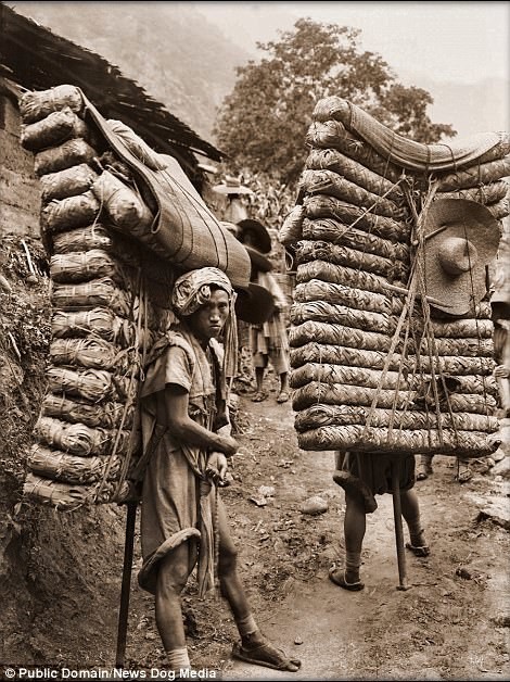 Крестьяне с тюками чая, провинция Сычуань, 1908 год