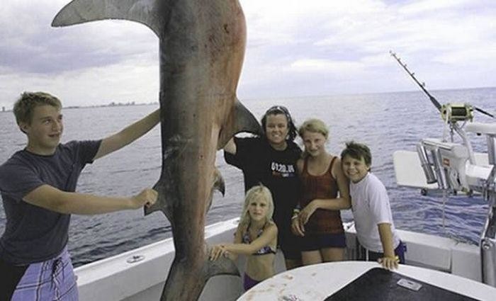 9. Рози О'Доннелл и фото с акулой 