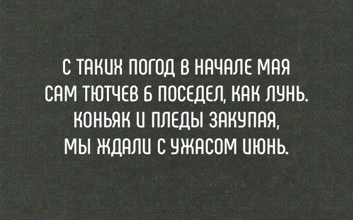 Смешные комментарии и высказывания из социальных сетей