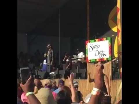 Снуп Догг выступил на джазовом фестивале в Новом Орлеане, США 